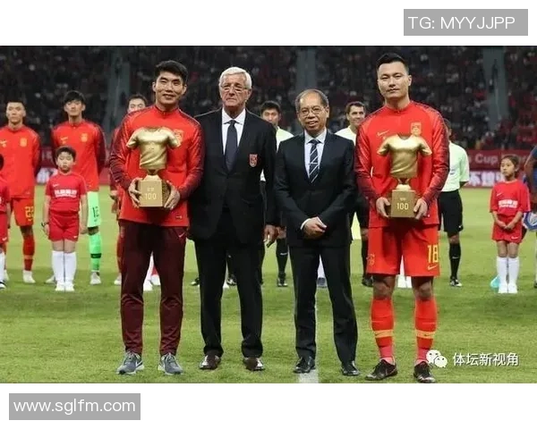 足球明星多戈巴的传奇之路与他在绿茵场上的辉煌成就解析